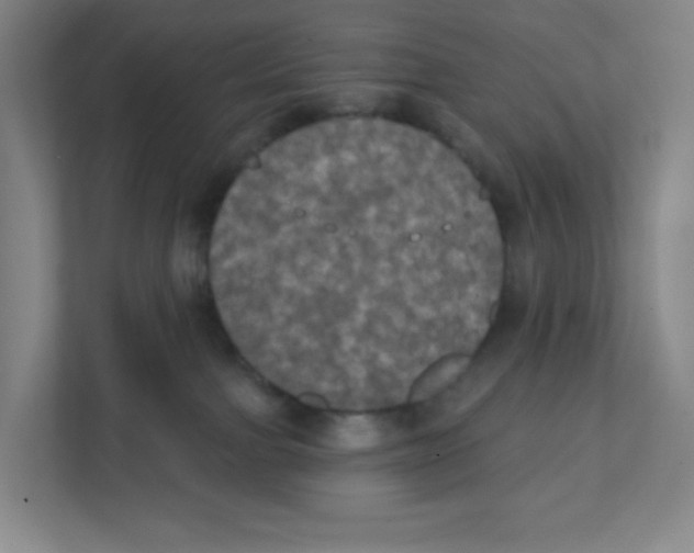 X0000111830091200908201200