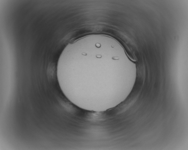 X0000111830092200908201200