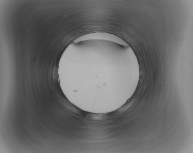 X0000111830096200908201200