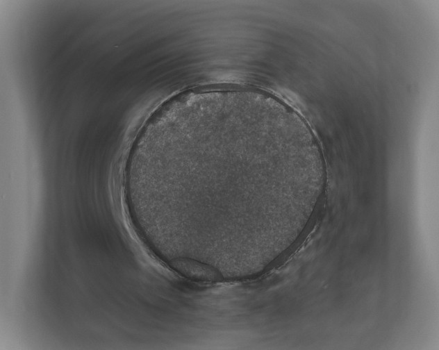 X0000111830097200908201159