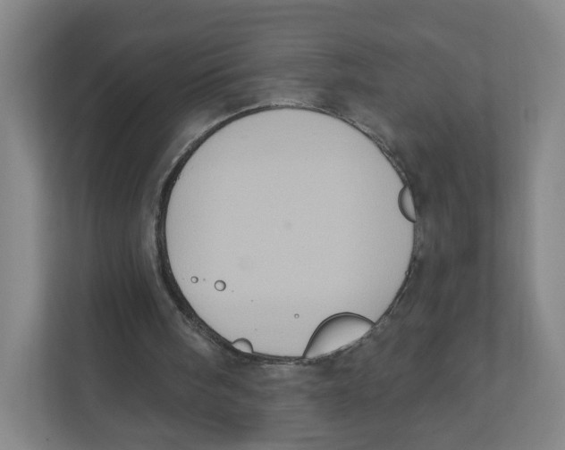 X0000111830098200908201159