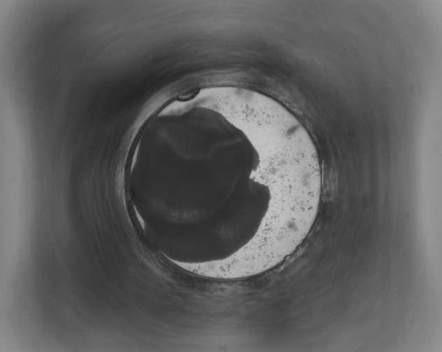 X0000111830099200908201159