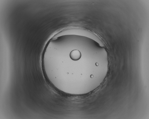 X0000111830100200908201159