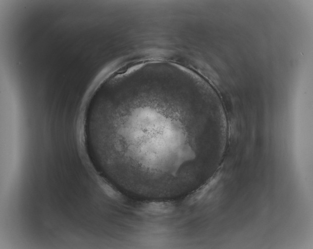 X0000111830101200908201159