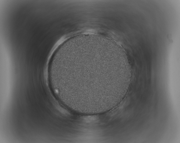 X0000111830102200908201159