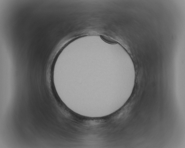 X0000111830103200908201159