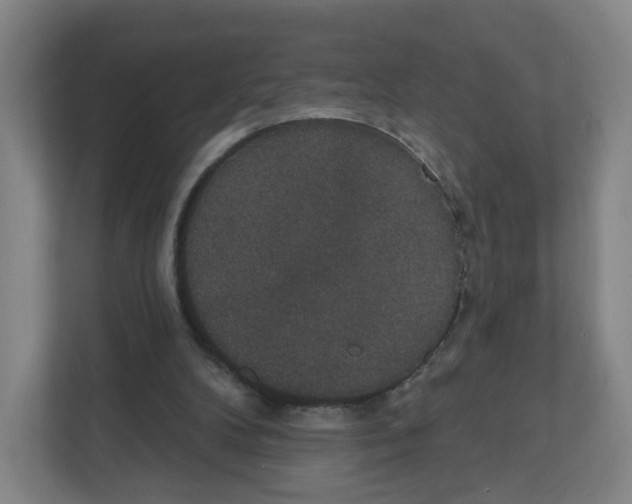 X0000111830104200908201159