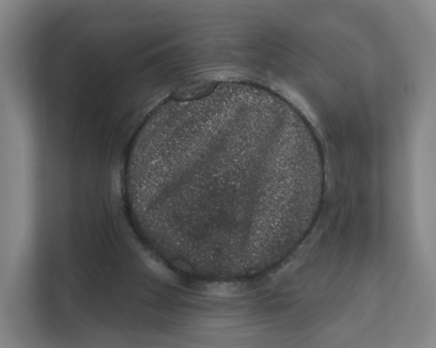 X0000111830105200908201159