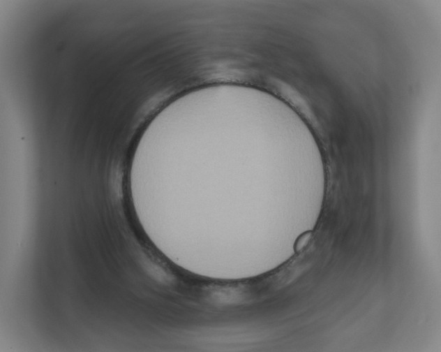 X0000111830106200908201159