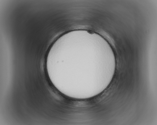 X0000111830107200908201159