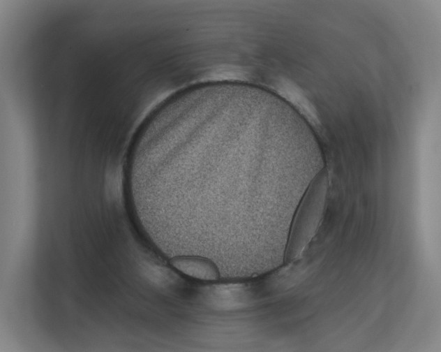 X0000111830108200908201159