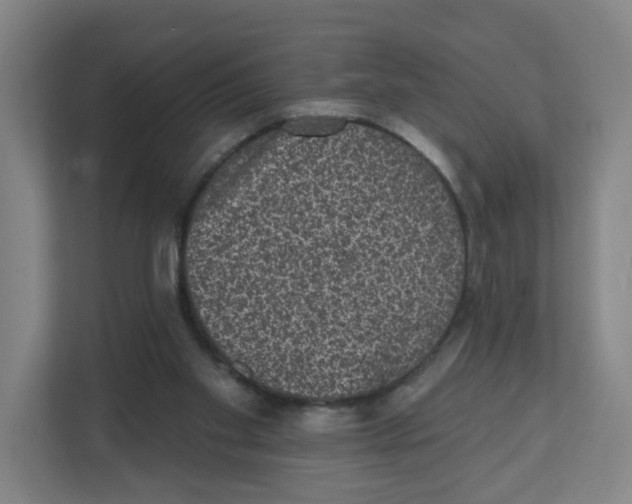 X0000111830109200908201159