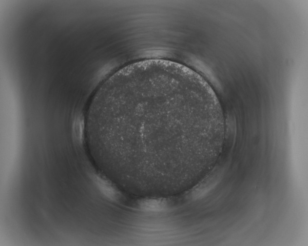 X0000111830110200908201159