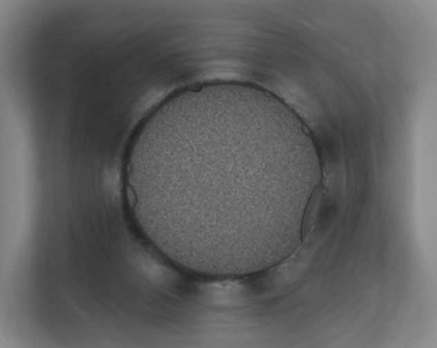 X0000111830112200908201159