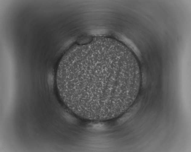 X0000111830113200908201159