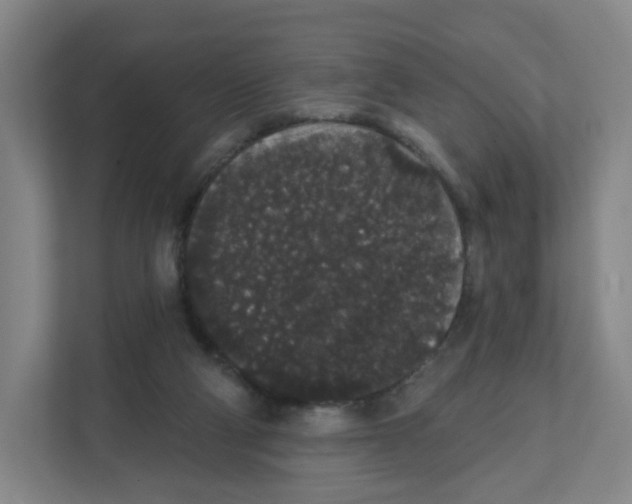 X0000111830114200908201159