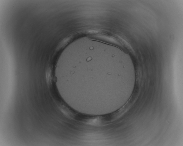 X0000111830116200908201159