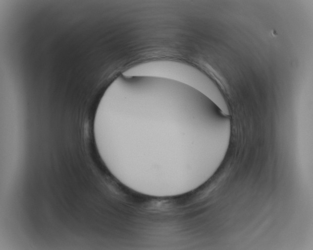 X0000111830117200908201159