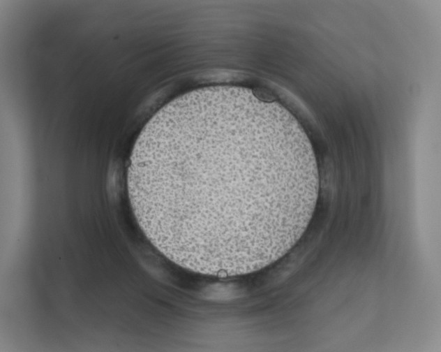 X0000111830119200908201159