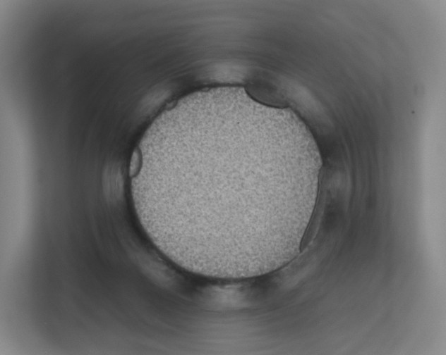 X0000111830120200908201159