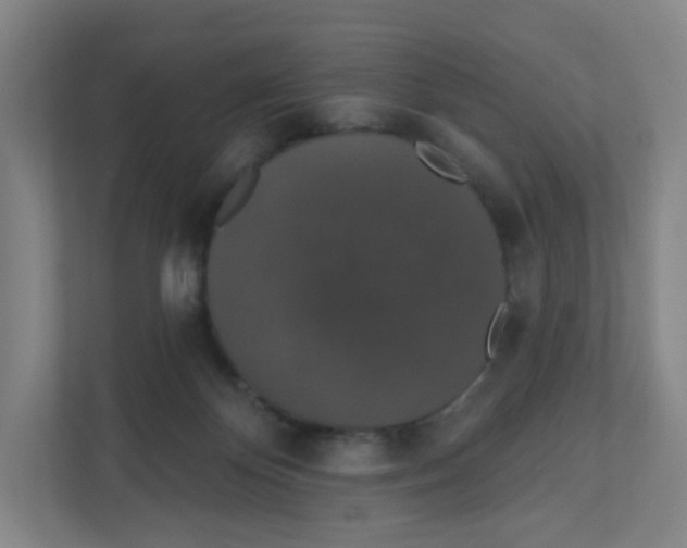 X0000111830124200908201159