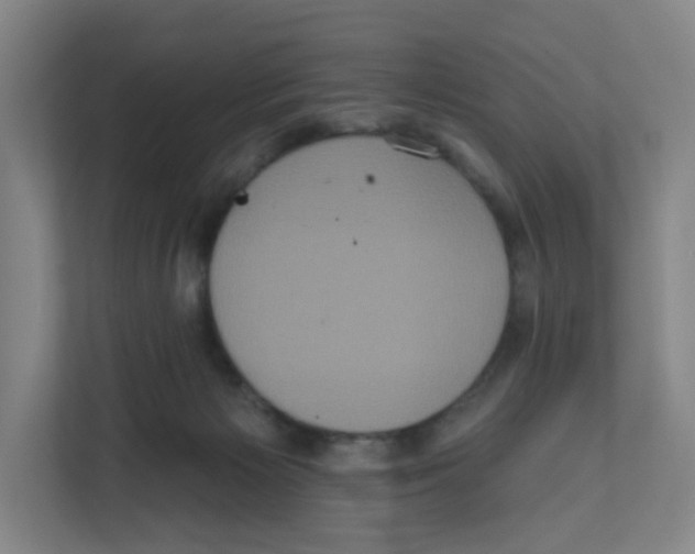 X0000111830125200908201159