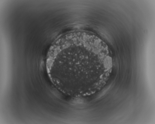 X0000111830127200908201159