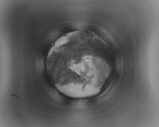 X0000111830128200908201159