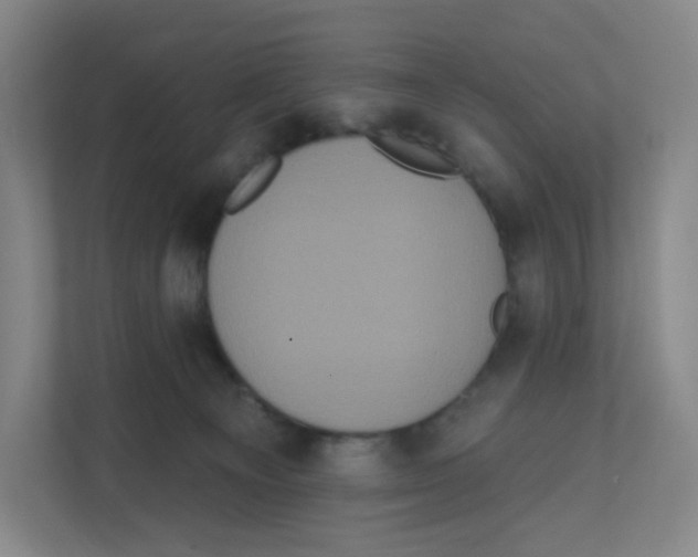 X0000111830129200908201159