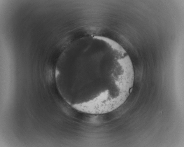 X0000111830130200908201159