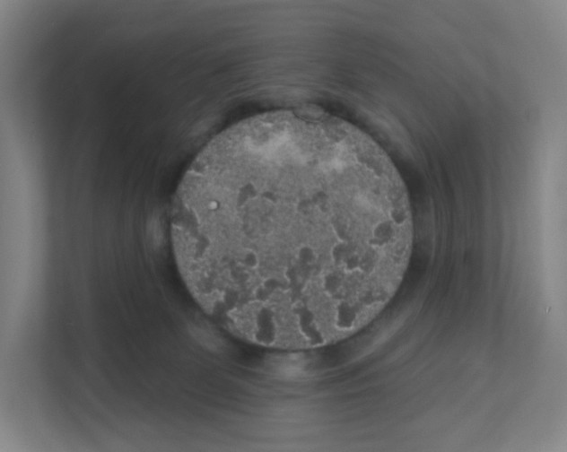 X0000111830131200908201159