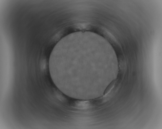 X0000111830132200908201159