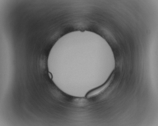 X0000111830133200908201159