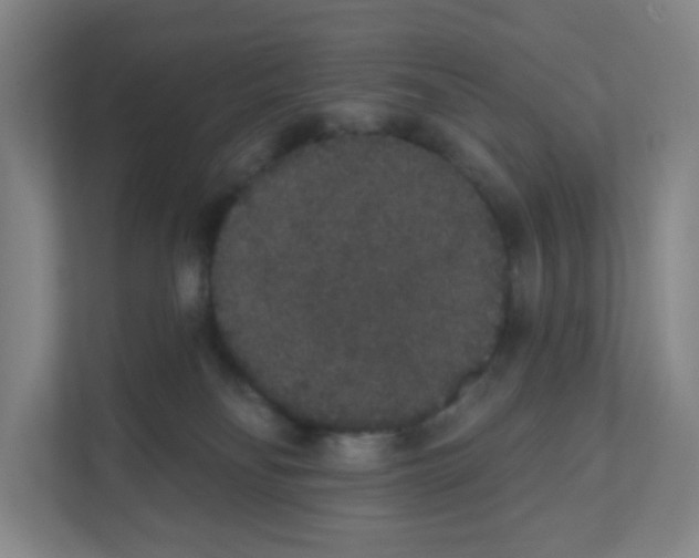 X0000111830134200908201159