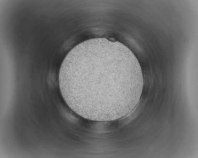 X0000111830136200908201159