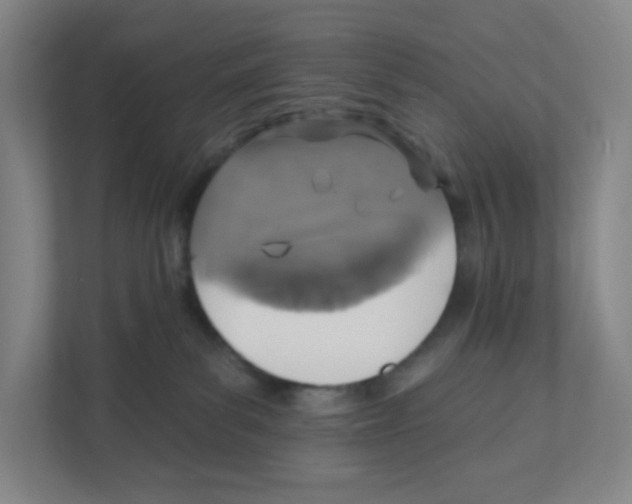 X0000111830139200908201159