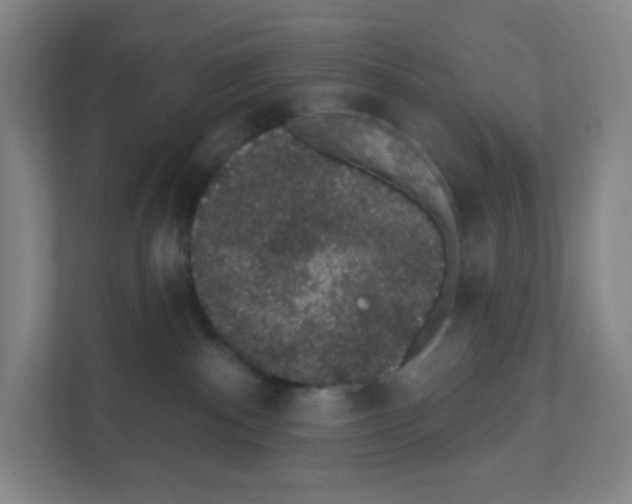 X0000111830140200908201159