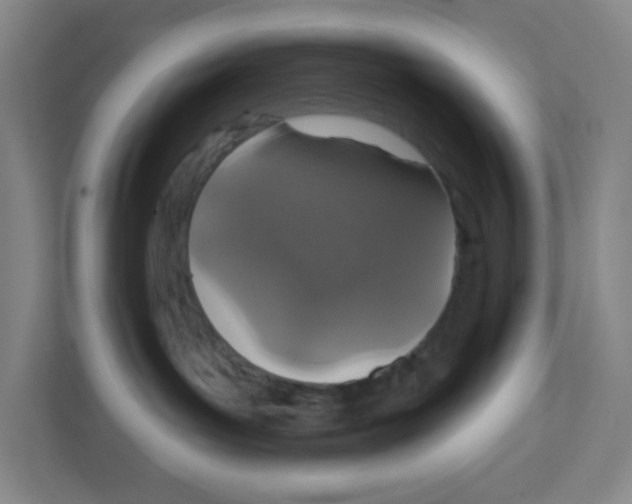 X0000111830143200908201159