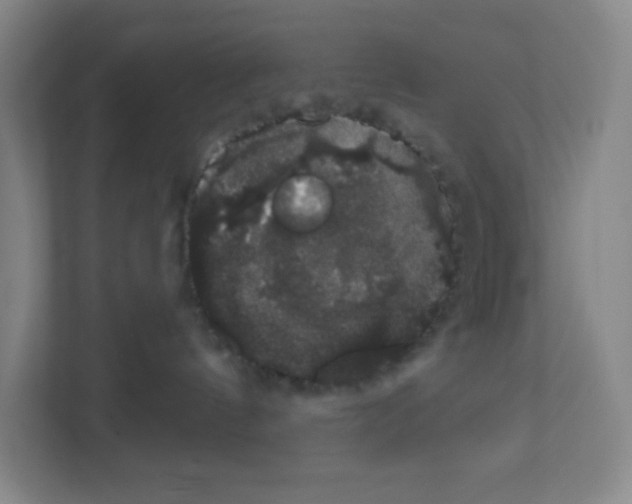 X0000111830144200908201159