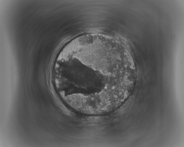 X0000111830145200908201158