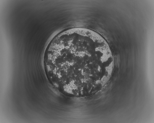 X0000111830147200908201158