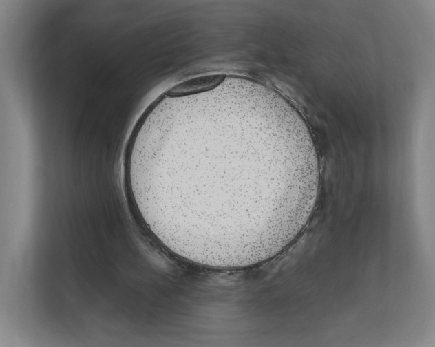 X0000111830148200908201158