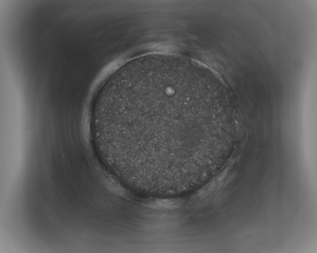 X0000111830149200908201158