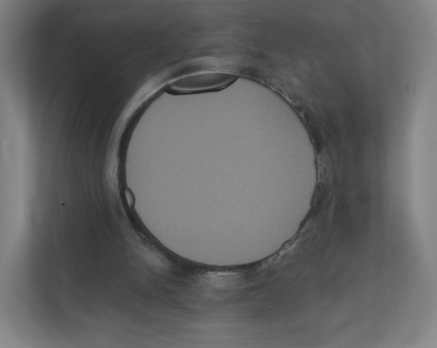 X0000111830150200908201158