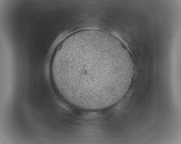 X0000111830151200908201158