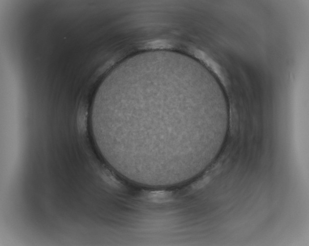 X0000111830153200908201158