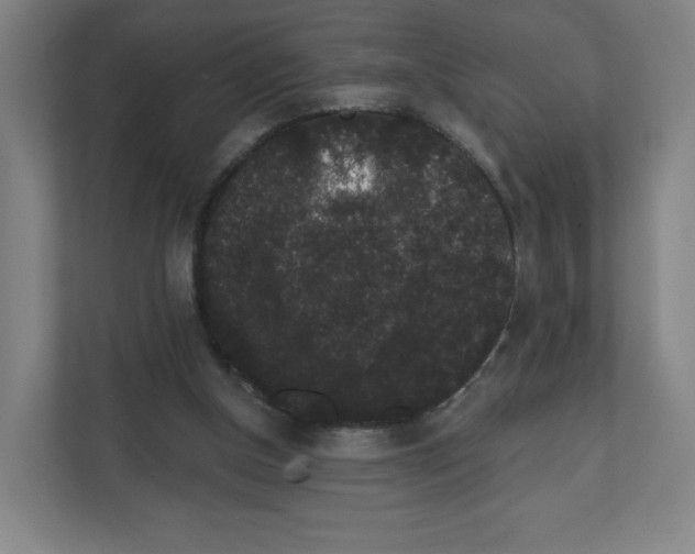 X0000111830154200908201158