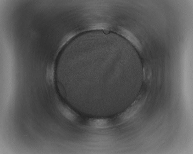 X0000111830156200908201158