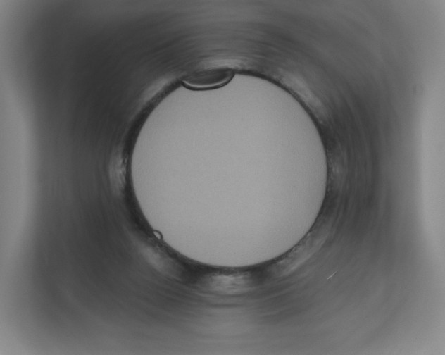 X0000111830160200908201158