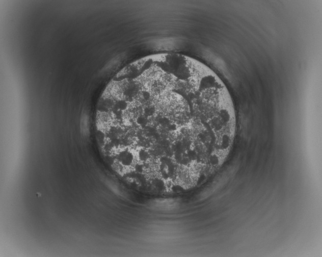 X0000111830161200908201158